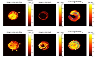 Структура и характеристики стабильного полидейтерированного тритильного радикала