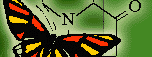 nsu_fen