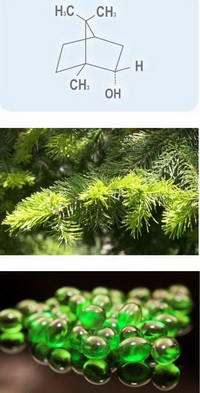 med_cosm_borneol_1