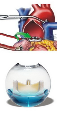 med_cosm_digl_efir med_cosm_digl_efir